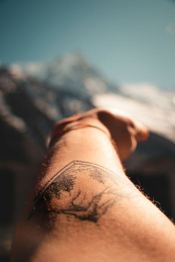 Best Procreate Tattoo Brushes for Realistic Shading